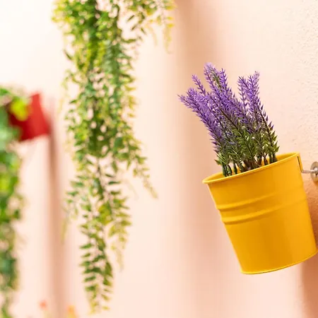 Stanza Con Patio Privato Nel Centro Storico Di Quarto em Acomodações Particulares Alghero